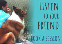 Listen to your friend book a session